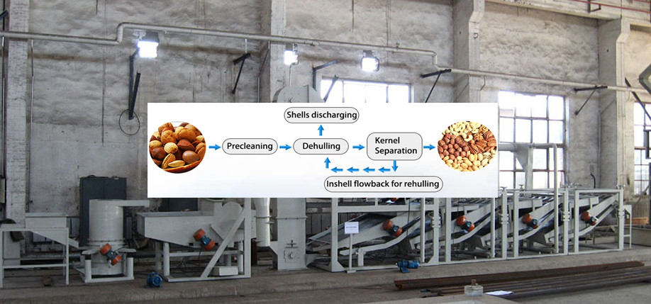 buckwheat de-hulling production line