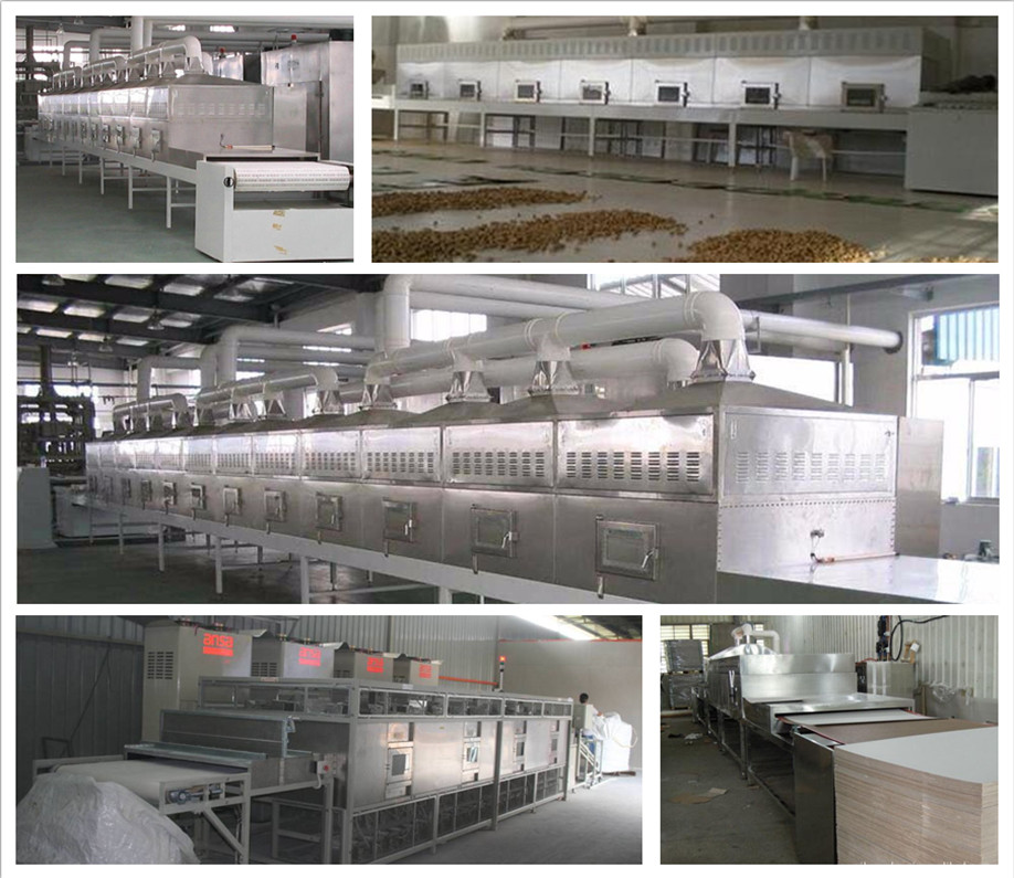 Microwave red pepper drying and sterilization equipment